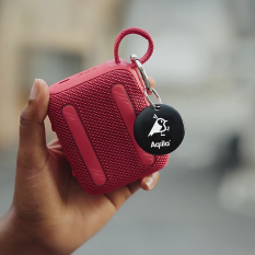 Agiila Tagbird N�glefinder 4-pack